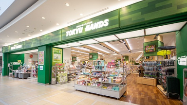 �t�@���Y�x�r�[ ���t�g